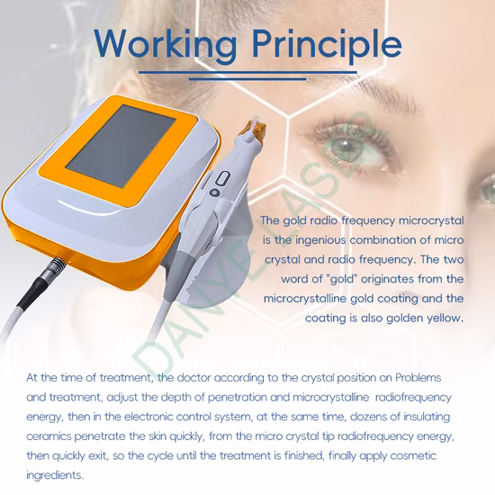 New Model Monopolar RF Skin Tightening Cet Ret Slimming Beauty Device for Home and Salon