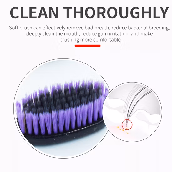 Escova de dentes dental do adulto dos artigos do agregado familiar do jogo da limpeza pessoal do OEM